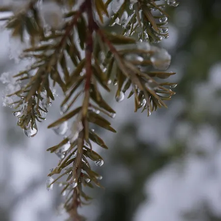 別荘 St Martin Chalets-2 By Interhome