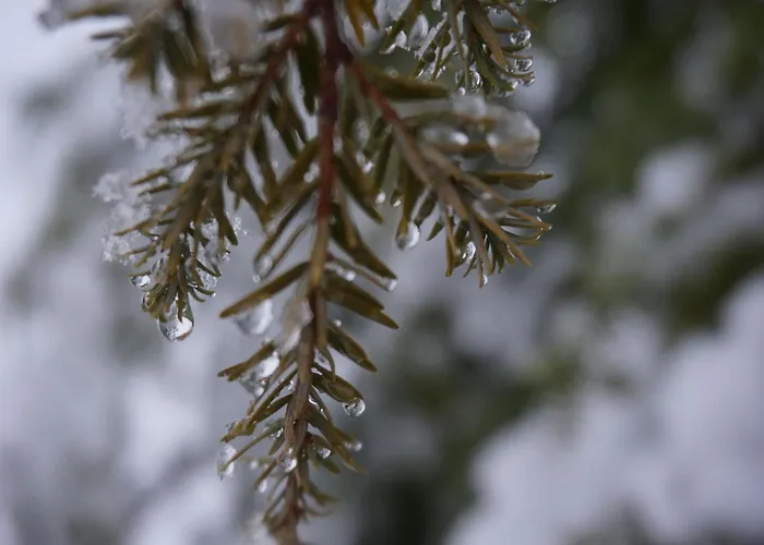 別荘 St Martin Chalets-2 By Interhome